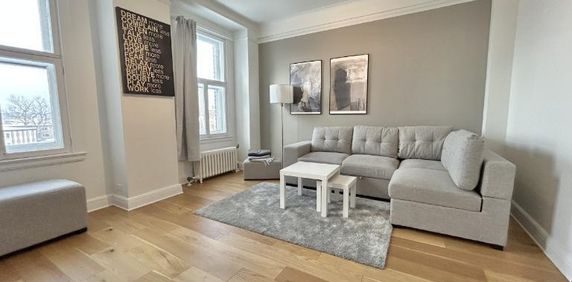 Appartement 3 ½ à louer Montcalm / Saint-Sacrement septembre 2026 - Photo 2