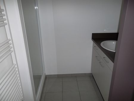 Location Appartement 2 pièces 51m² CHARLIEU 42190 - Photo 4