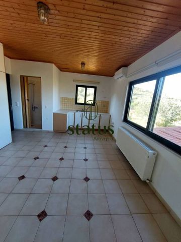 Studio/Γκαρσονιέρα για ενοικίαση - Ρίο, - Photo 4