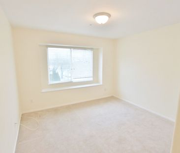 STUNNING 3 BED + 3 BATH HOME IN IDEAL KITSILANO LOCATION- WALK TO T... - Photo 4