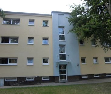 modernisierter Kracher in Erle ! - Foto 6