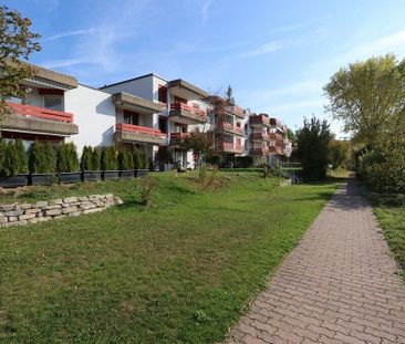 Appartement spacieux dans un bon emplacement - Photo 6