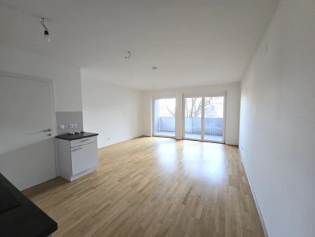 Zentrale, geförderte 2 Wohnung mit großem Balkon in ruhiger Innenhoflage, Dornschneidergasse 31 - Top 12 - Photo 2