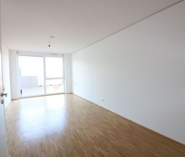 Helle 2-Zimmer-Wohnung - Provisionsfrei! - Photo 5