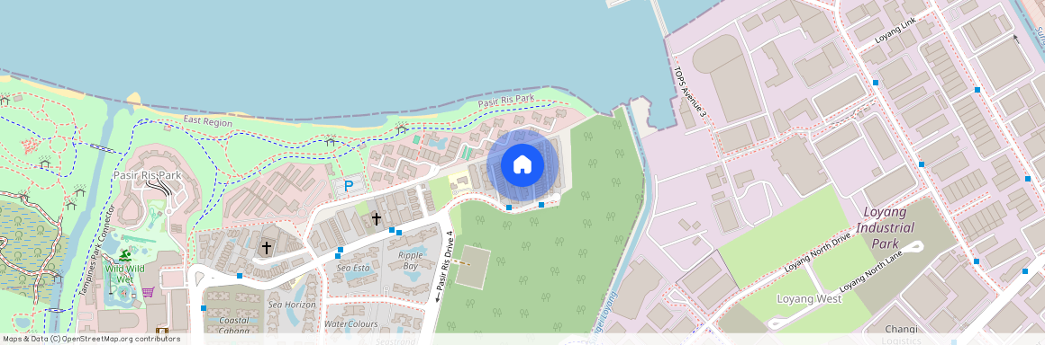 205 Jalan Loyang Besar (509456), Singapore