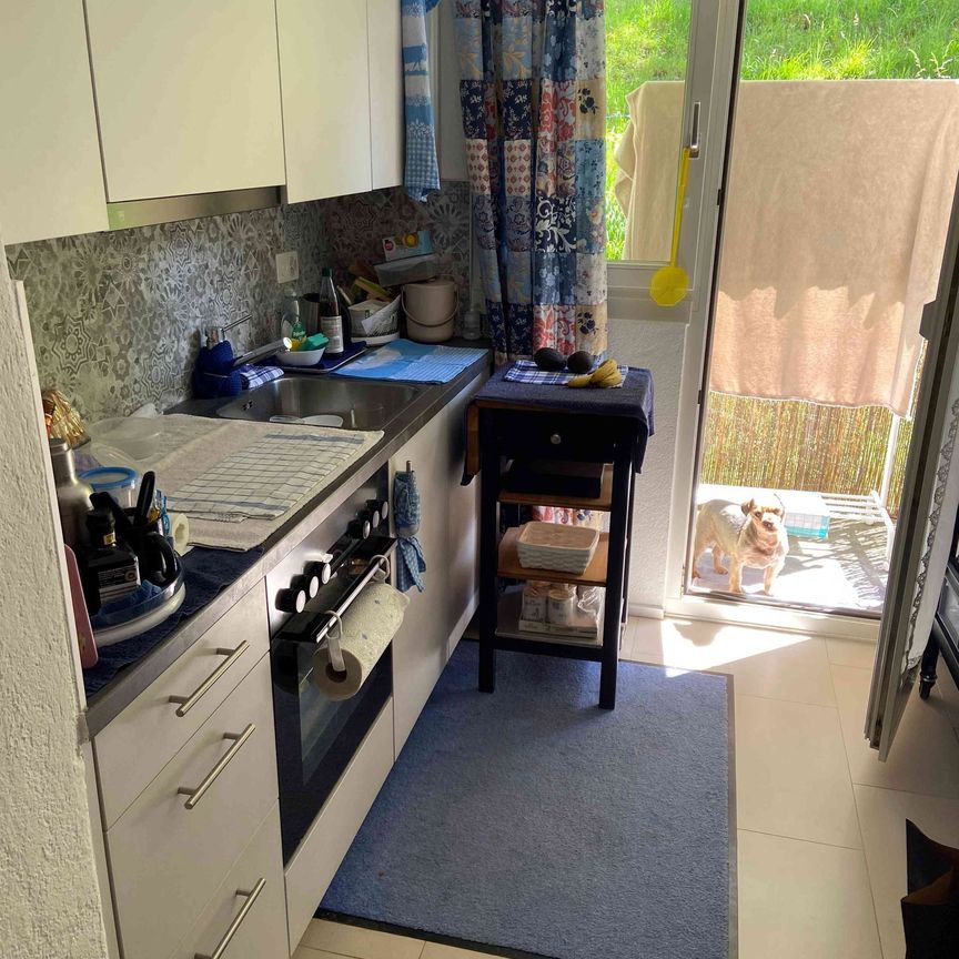 3 Zimmer, 70 m², 1. Stock - Foto 1