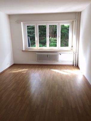 Moderne Wohnung, Nähe Irchel Park - Foto 1