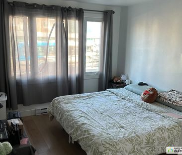 7238, Boulervard Pie-IX, Rosemont / La Petite Patrie à louer - Photo 1