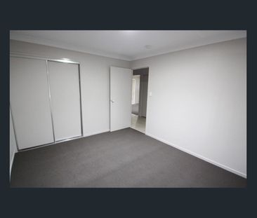 Upper Coomera Beauty. Won't last long! - Photo 4