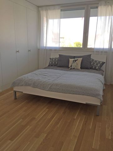 Beautiful apartment in Affoltern - Photo 3