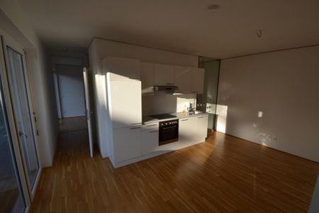 Jakomini – 54 m² – 3 Zimmer Wohnung – WG fähig – riesiger Westbalkon – TOP Zustand - Photo 5