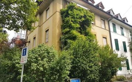 Wohnung in Basel - Foto 2