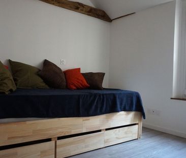 Location Appartement P1 Sens - Photo 1