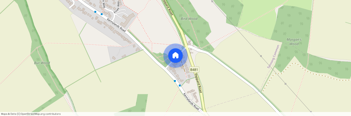 Bird In Hand Lane, Sonning Common, RG4