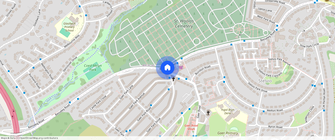 Gaer Park Drive, Newport, NP20