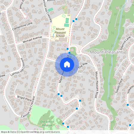 99 Major Hornbrook St, Mt Pleasant