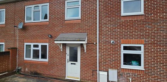 Allan Grove - Photo 2