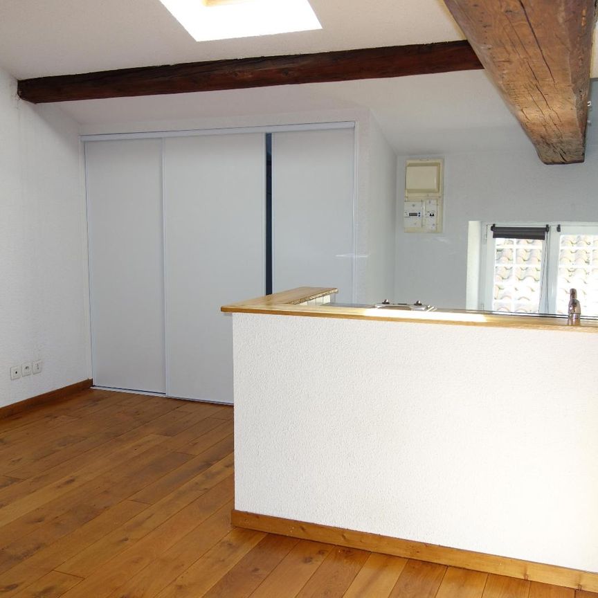 Location Appartement 1 pièce 24m² MACON 71000 - Photo 1