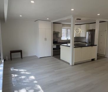 For Lease - 517 Lynett Crescent, Richmond Hill, Ontario - Photo 6