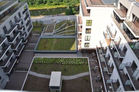 Mieszkanie na wynajem, Wrocław - Zdjęcie 4