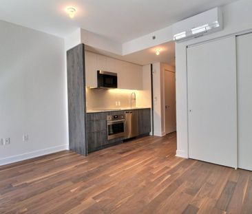 Appartement à louer - Montréal (Ville-Marie) (Mille Carré Doré) - Photo 5