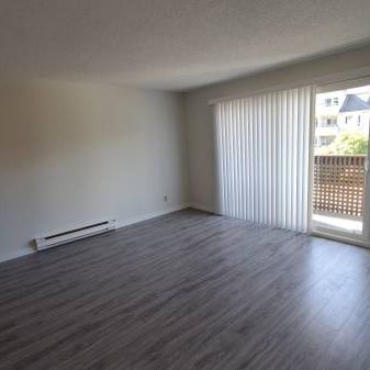 Renovated 1-Bed 1-Bath Unit in Mount Pleasant - Photo 4