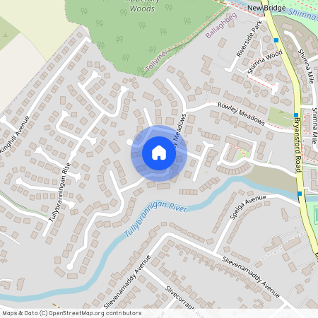 25 Rowley Meadows, Newcastle, BT33 0RW