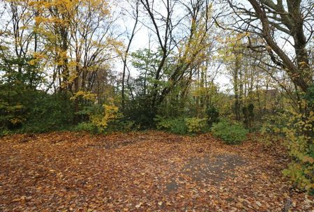 1 bedroom semi-detached house to rent - Photo 5