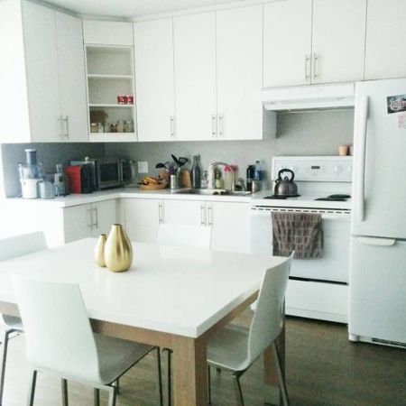 4 1/2 - Montréal (Hochelaga / Maisonneuve) - 1 665 $/mois - Photo 3
