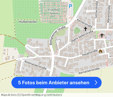 WEITBLICK:Traumhafte 2-Zimmer-Wohnung mit Sonnenterrasse in Tamm! - Foto 1