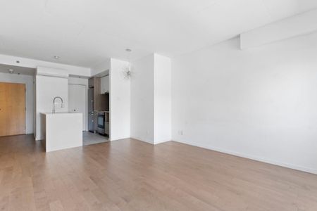 Appartement à louer - Montréal (Ville-Marie) (Centre Ouest) - Photo 4