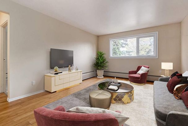 Renovated Suite - 2 Bedroom - Photo 1