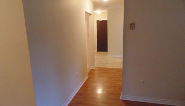 Veronica Drive - Photo 1