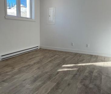 3 1/2 Bachelor très éclairé à Sainte-Agathe - Photo 4