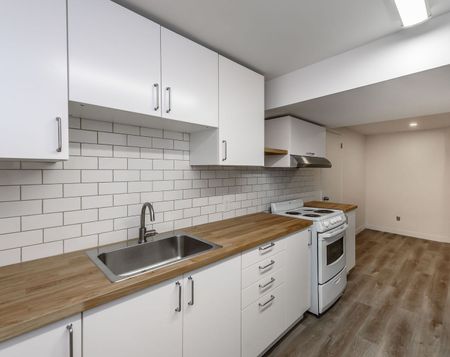 For Lease - 191 Sherman Avenue Unit# BSMNT, Hamilton, Ontario - Photo 4