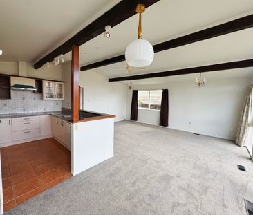 Traditional Family Living In Prime Location - Riverlea - Photo 3