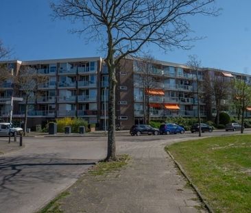 Hadewijchstraat 0ong, 1813 Alkmaar, Nederland - Photo 2