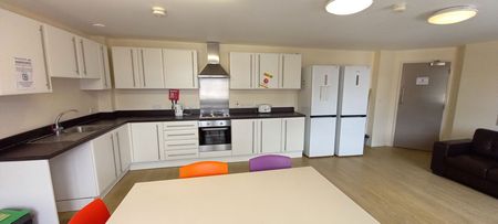 Hawkins Road Unit 4 Rm 5, Earlsdon - Photo 3