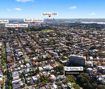 16 Ashley St, Tamarama, NSW 2026 - Photo 6