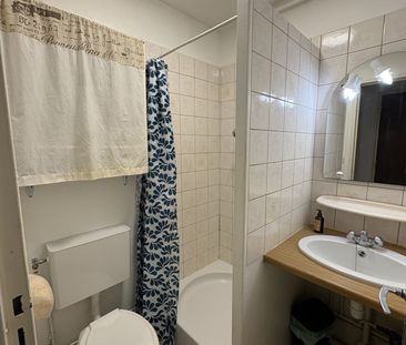 Location Appartement 1 pièce 18m² PALAISEAU 91120 - Photo 5