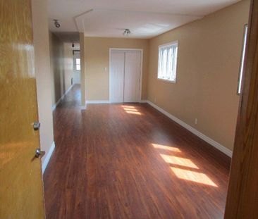 Villeray, métro Jean-Talon 41/2, aires ouvertes - Photo 4