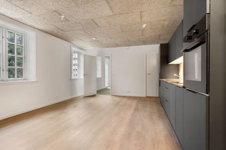 Strømgade 5C stuen KÆMPE TERASSE! - Foto 2