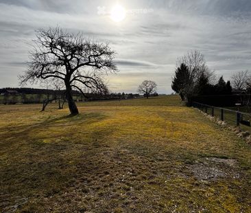 5 Zimmer, 80 m² - Photo 3