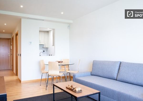 Carretera de Canillas, Madrid, Community of Madrid 28043