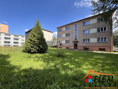 Pronájem bytu 2+1 54 m2 - Fotografie 4