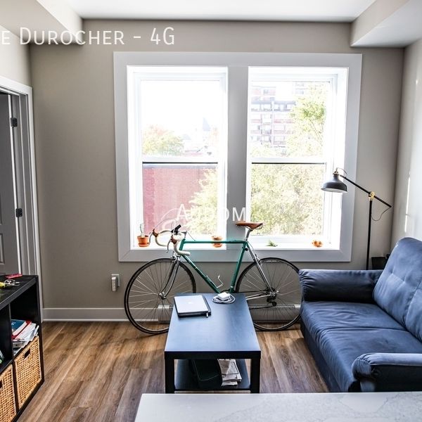 3546 Rue Durocher - 4G - Photo 1