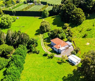 Golden Mile Goodie - Photo 5