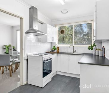 Light Filled Apartment in Great Location! - Photo 6