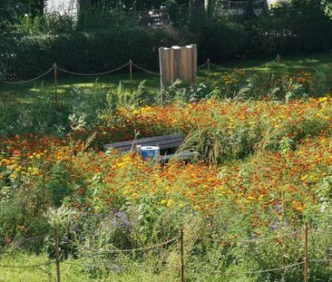 Altengerechtes Wohnen ab 60. Jahren - bezugsfertig - Foto 3