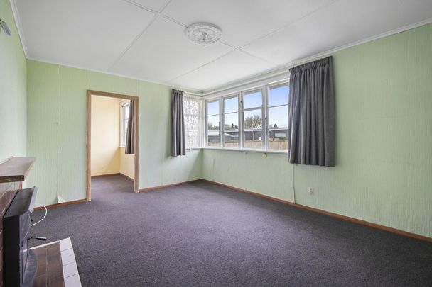 Dog Friendly ! Lawns Included ! - Photo 1